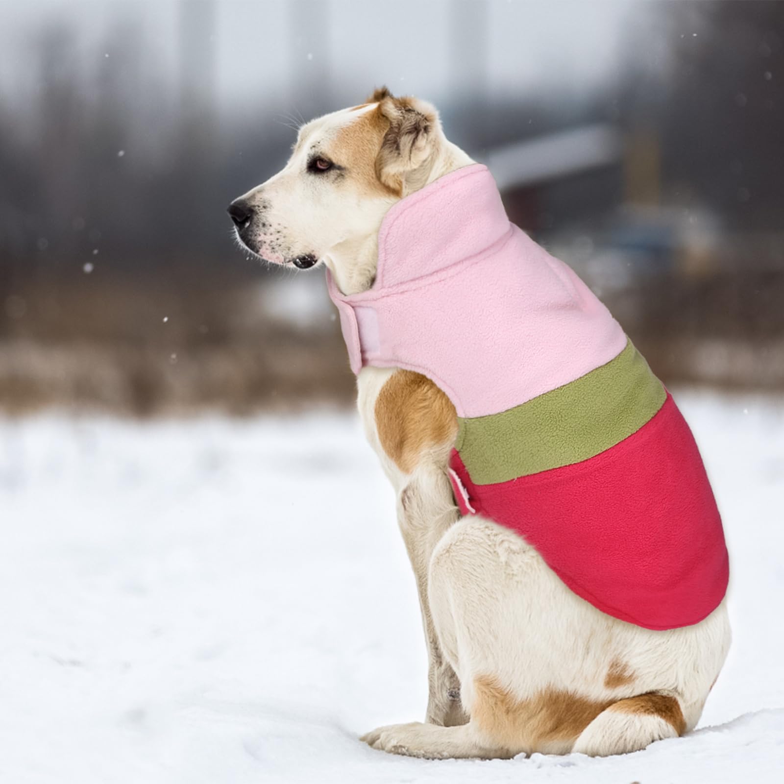 Asenku Reversible Dog Jacket - Waterproof Winter Coat, Plaid Pet Apparel For Small, Medium & Large Dogs (L, Green)